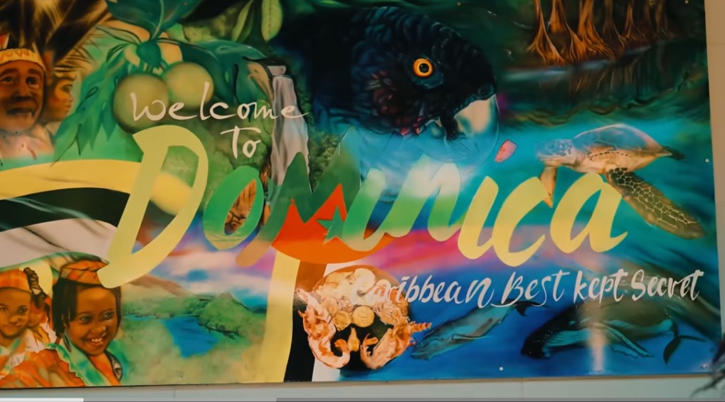 🇩🇲 Discover Dominica: The Caribbean’s Beautiful, Untamed Nature Island.